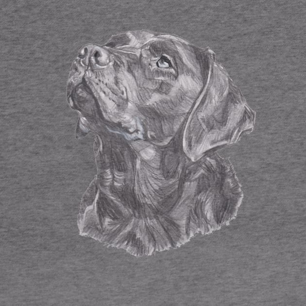 Classic Labrador Retriever Dog Profile Drawing by lalanny